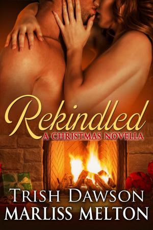 Book cover of REKINDLED