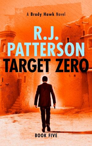 Cover of the book Target Zero by R.J. Patterson