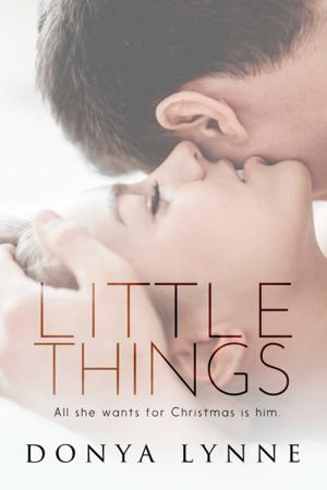 Book cover of Little Things