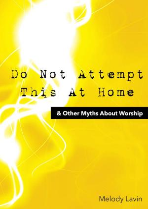 Cover of the book Do Not Attempt This At Home by Connie Fauth