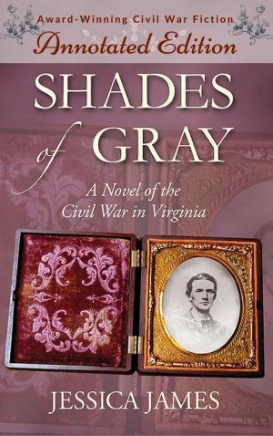 Cover of the book Shades of Gray (Annotated Edition, The Lost Chapters) by E. K. Paul