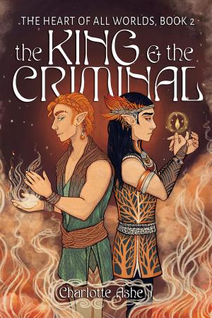 Cover of the book The King and the Criminal by C.B. Lee