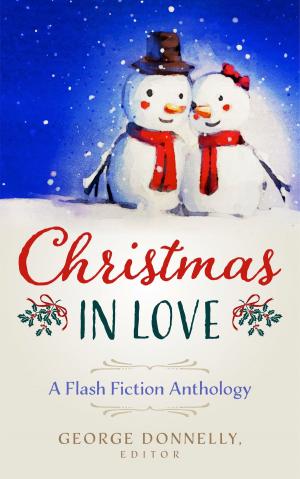 Cover of the book Christmas in Love by Laird Stevens