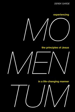 Cover of the book Momentum by John Calvin