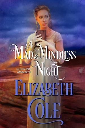 Cover of A Mad and Mindless Night