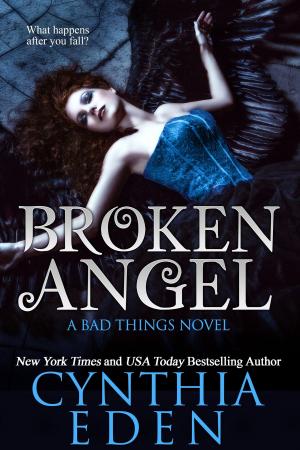 Cover of the book Broken Angel by CS Miller