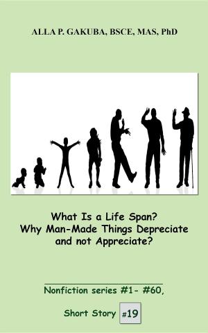 Cover of the book What Is a Life Span? Why Man-Made Things Depreciate and not Appreciate? by Jeffrey Roark, Jeff Rohde