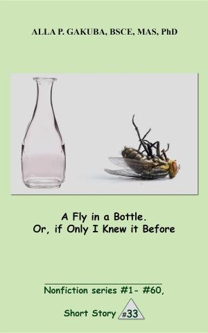 Cover of A Fly in a Bottle. Or, if Only I Knew it Before.
