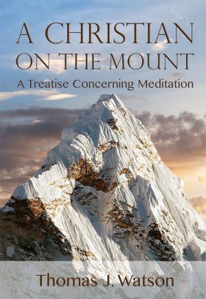 Cover of the book A Christian on the Mount by Horatius Bonar