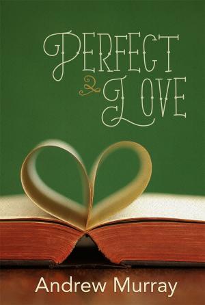 Book cover of Perfect Love