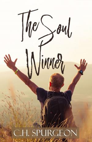 bigCover of the book The Soul Winner by 
