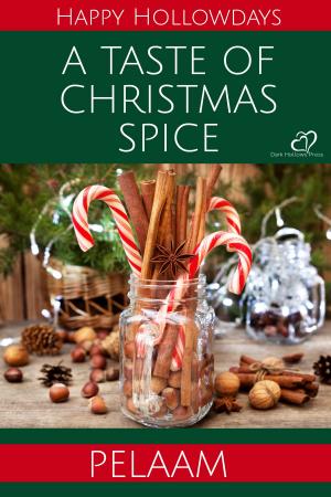Cover of the book A Taste of Christmas Spice by TS McKinney