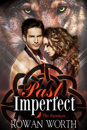 Cover of the book Past Imperfect by Sharon Joss