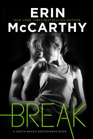 Cover of the book Break by Lacey Wolfe