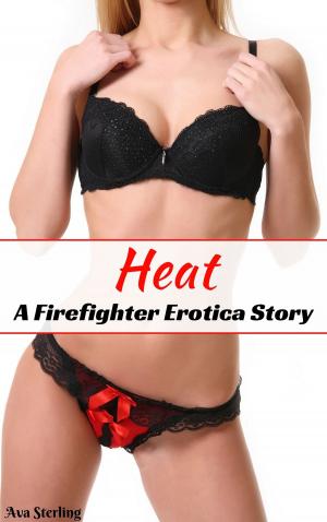 Book cover of Heat