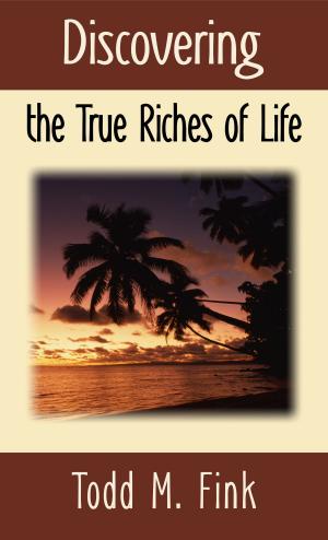 Book cover of Discovering the True Riches of Life