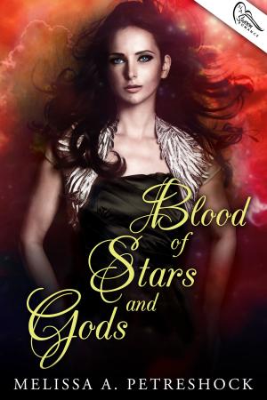 Cover of the book Blood of Stars and Gods by Don Ship
