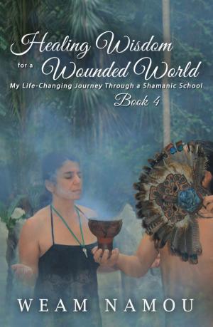 Cover of the book Healing Wisdom for a Wounded World: My Life-Changing Journey Through a Shamanic School (Book 4) by Angelos Rodafinos