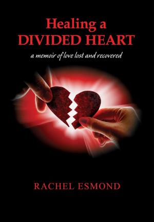 Cover of the book Healing a Divided Heart by Jill-Michele Lewis