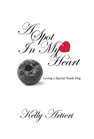 Cover of the book A Spot in My Heart by David Karanja