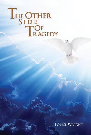 Cover of the book The Other Side Of Tragedy by Dorthy McCampbell