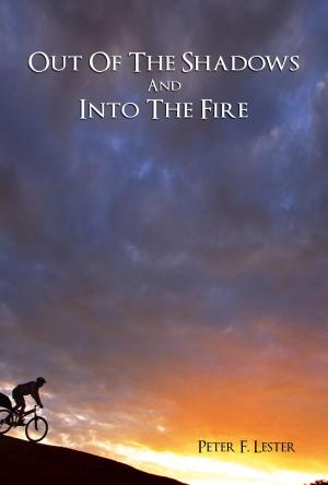 Cover of the book Out of the Shadows and Into the Fire by Laura  L White