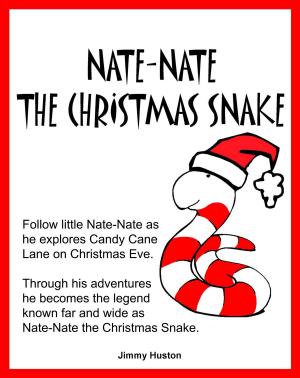 Cover of the book Nate-Nate the Christmas Snake by Danny McAleese, David Kristoph