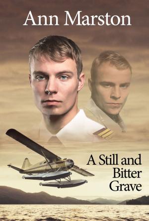 Cover of the book A Still and Bitter Grave by Ann Marston