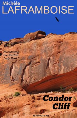 Book cover of Condor Cliff