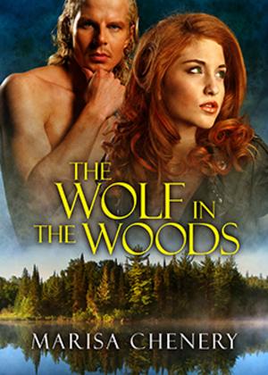 Cover of the book The Wolf in the Woods by Marisa Chenery