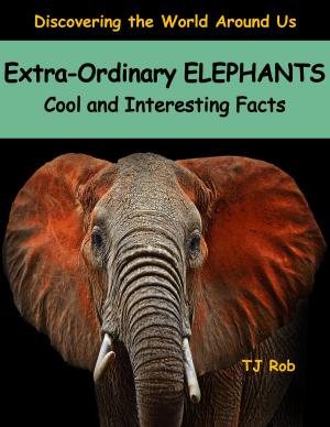 Book cover of Extra-Ordinary Elephants
