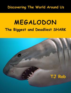 Cover of the book Megalodon by Iya Whiteley, Graham Whiteley, Rachael Fisher
