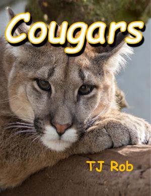 Book cover of Cougars