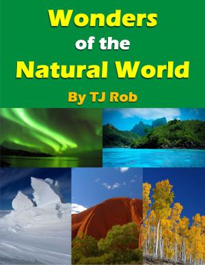 Book cover of Wonders of the Natural World