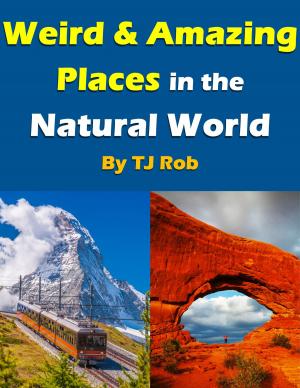 Book cover of Weird and Amazing Places in the Natural World
