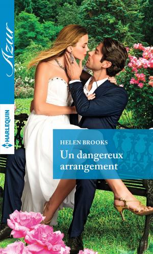 Cover of the book Un dangereux arrangement by Lucy Ryder, Alison Roberts, Sue MacKay
