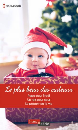 Cover of the book Le plus beau des cadeaux by Stacy Henrie, Sherri Shackelford