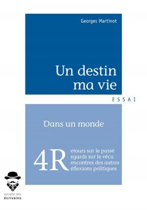 Cover of the book Un destin, ma vie by Benoît Vogel