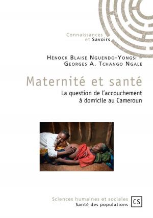 Cover of the book Maternité et santé by Frédéric-Gaël Theuriau