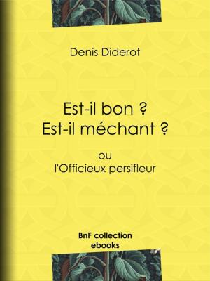 Cover of the book Est-il bon ? Est-il méchant ? by Alphonse Karr