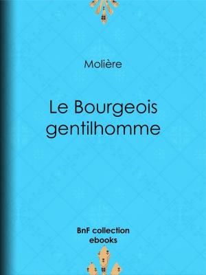 Cover of the book Le Bourgeois gentilhomme by Émile Augier