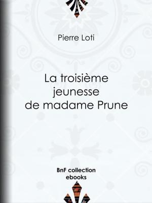 Cover of the book La troisième jeunesse de madame Prune by Henri Baudrillart