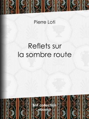 Cover of the book Reflets sur la sombre route by Basil Hall, Amédée Pichot