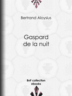 Cover of the book Gaspard de la nuit by J.-H. Rosny Aîné
