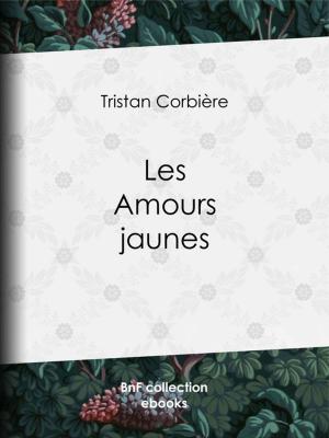 Cover of the book Les Amours jaunes by Jane E Libeau