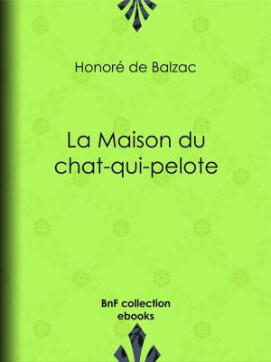 Cover of the book La Maison du chat-qui-pelote by Rodolphe Töpffer