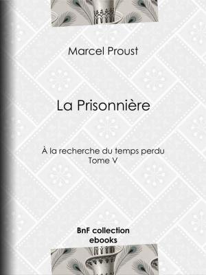 Cover of the book La Prisonnière by Paul Bourget