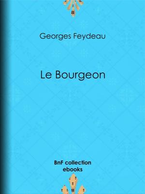 Cover of the book Le Bourgeon by Renée Vivien
