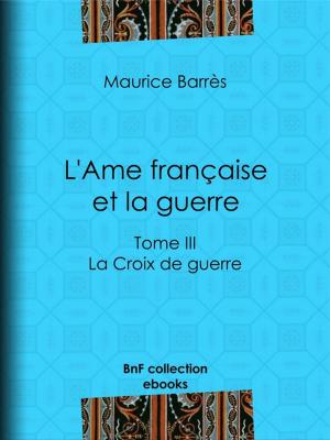 Cover of the book L'Ame française et la guerre by Alphonse Daudet, André Gill