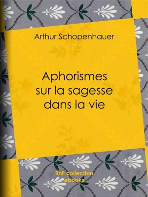 bigCover of the book Aphorismes sur la sagesse dans la vie by 